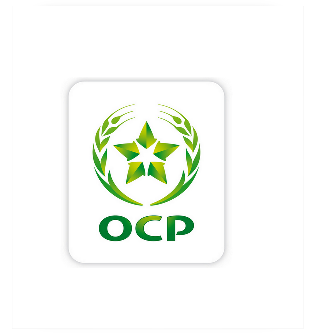 OCP growing support for its U.S. fertilizer imports OCP Group